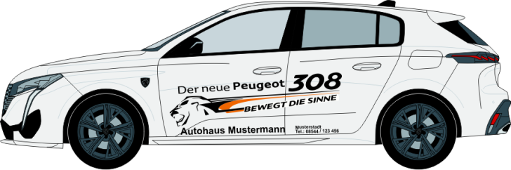 Peugeot 308 Nr. 1569