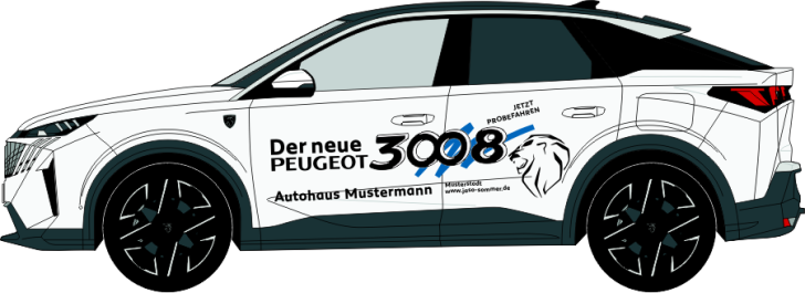 Peugeot 3008 Nr. 896