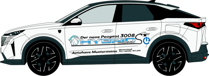 Peugeot 3008 Nr. 2538