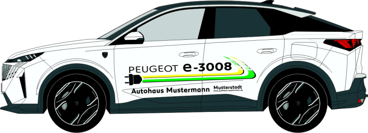 e-3008