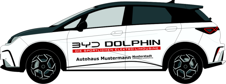 BYD Dolphin Nr 3226
