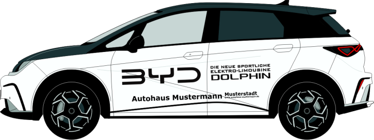BYD Dolphin Nr 3228