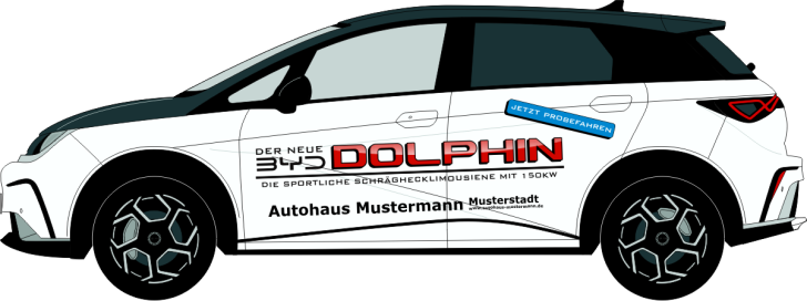 BYD Dolphin Nr 3230