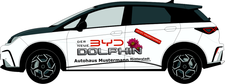BYD Dolphin Nr 3232