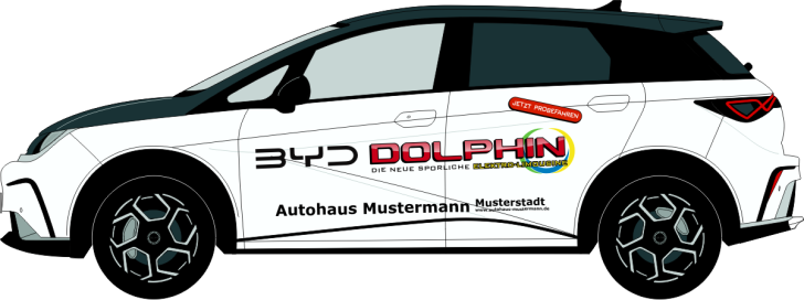 BYD Dolphin Nr 3235