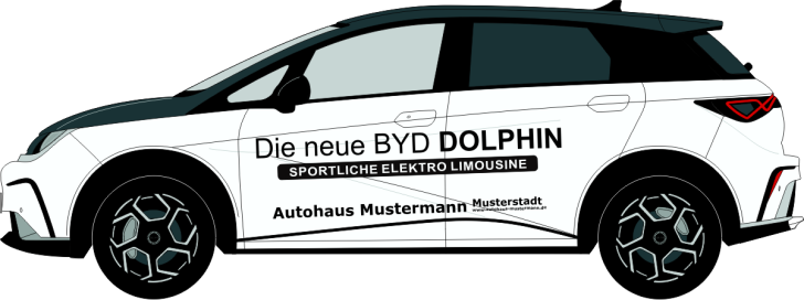 BYD Dolphin Nr 3236