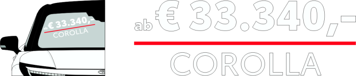 Modell Auspreisung Nr 3250